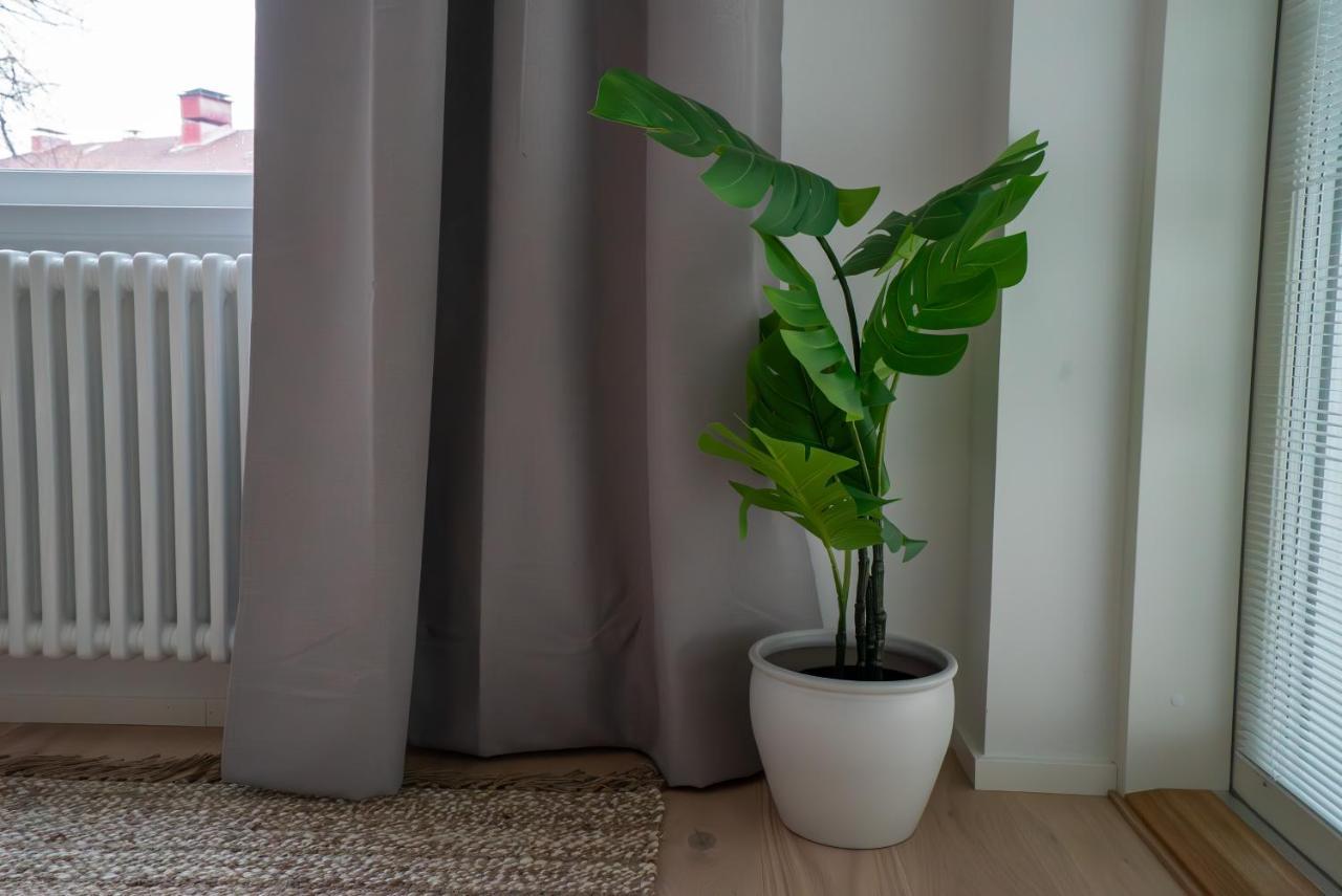 A New Apartment In Хелзинки Екстериор снимка